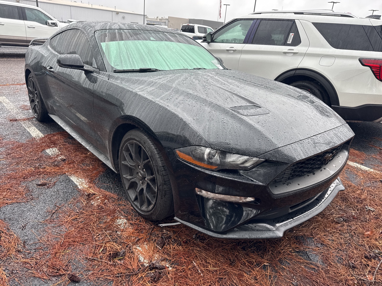2018 Ford Mustang EcoBoost Premium's photo