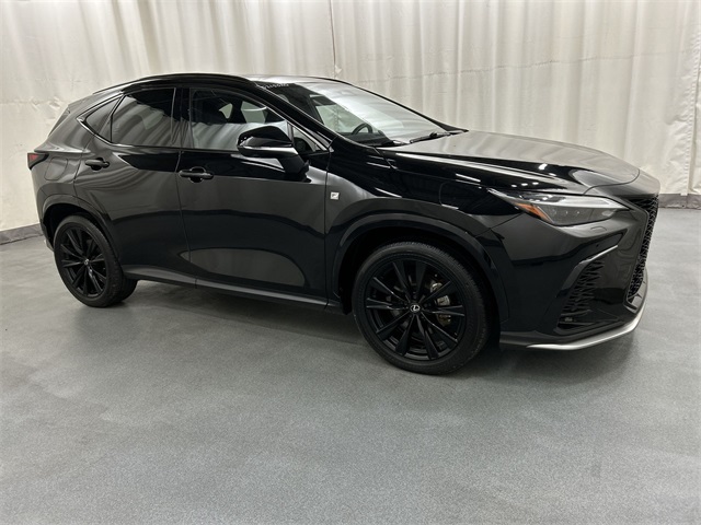 2024 Lexus NX PHEV 450h+'s photo