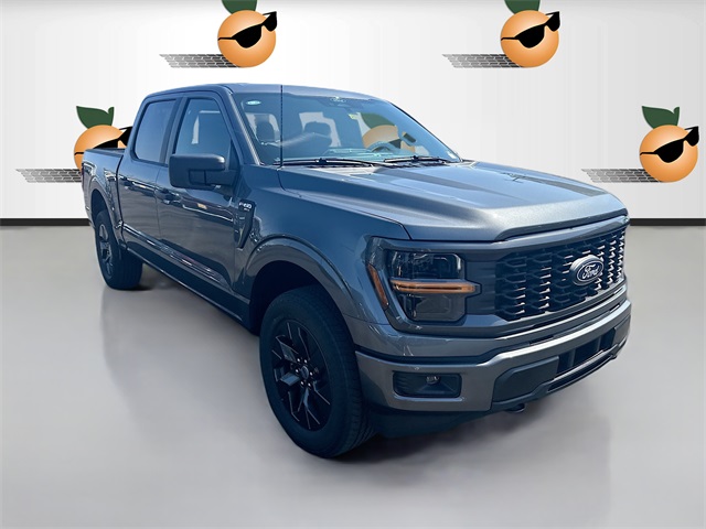 2025 Ford F-150 STX's photo