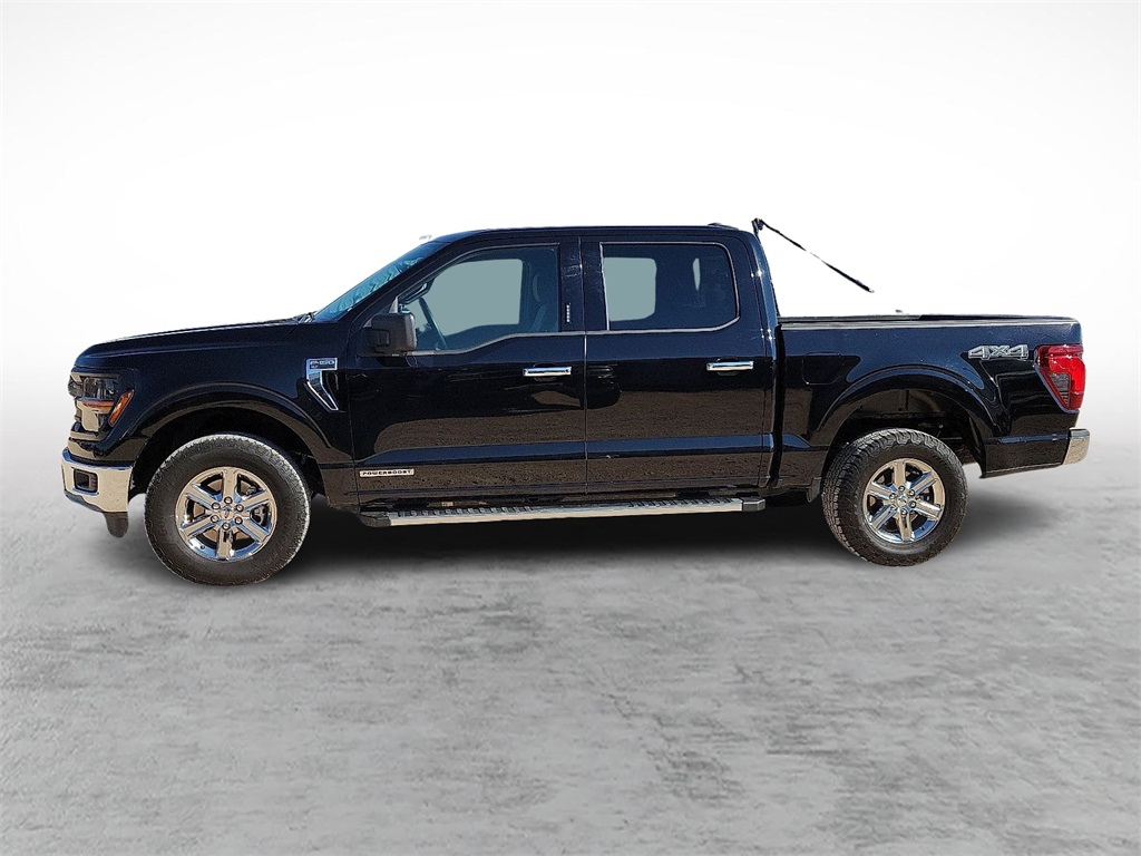 2024 Ford F-150 XLT photo 6