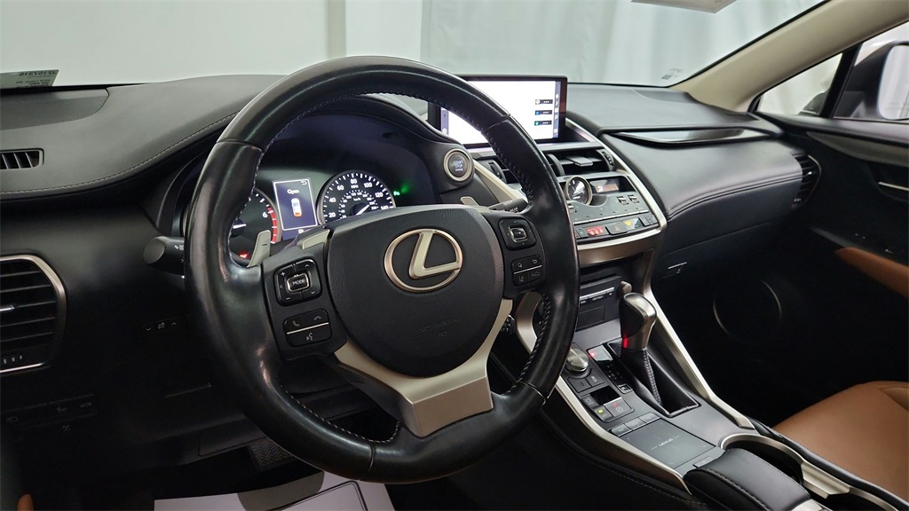 2018 Lexus NX 300 Luxury photo 14