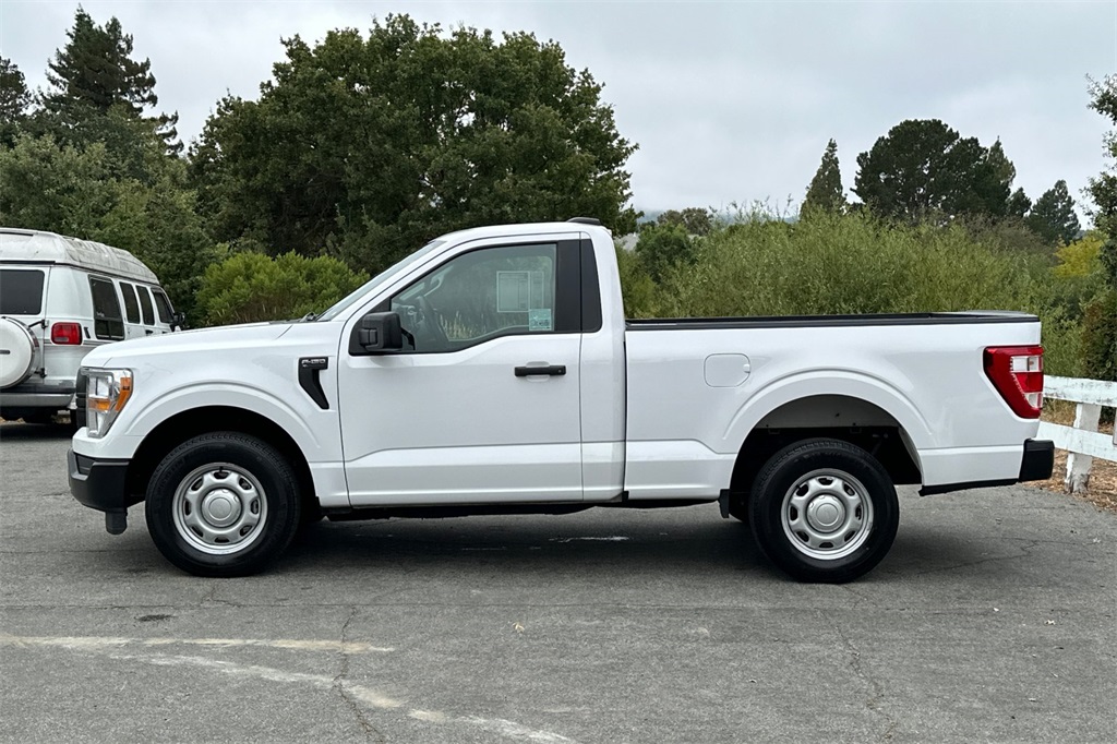 2021 Ford F-150 XL photo 8