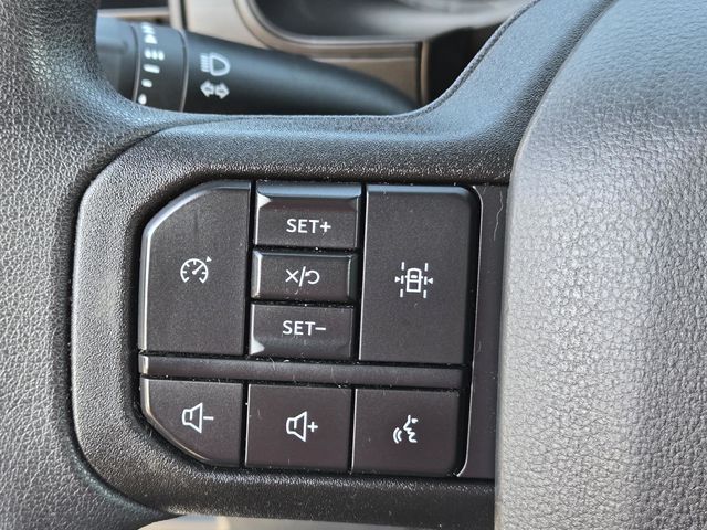 2022 Ford F-150 Tremor photo 19