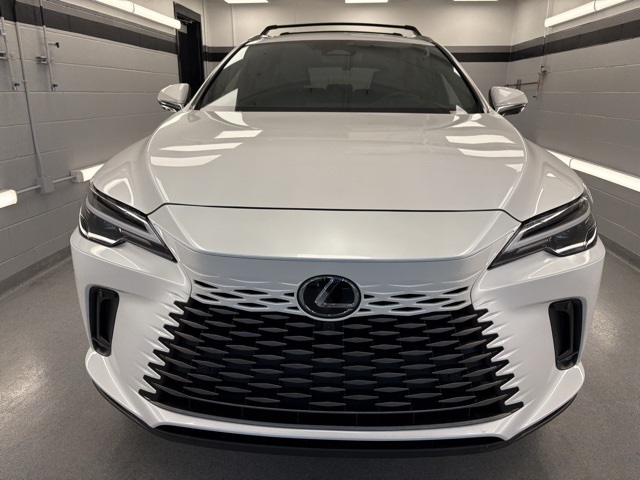 2024 Lexus RX 350h photo 2
