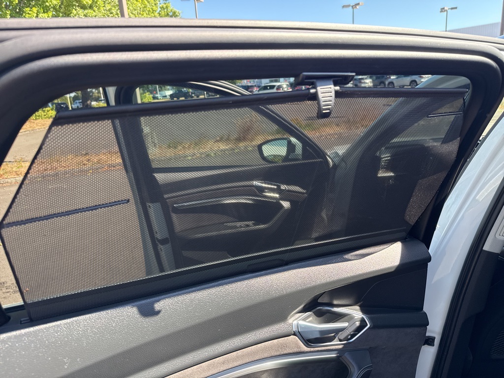 2019 Audi e-tron Premium Plus photo 20