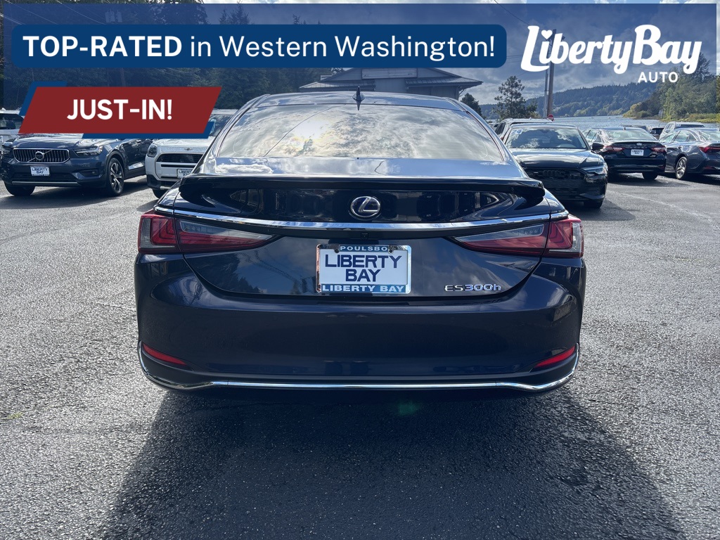 2020 Lexus ES 300h photo 4