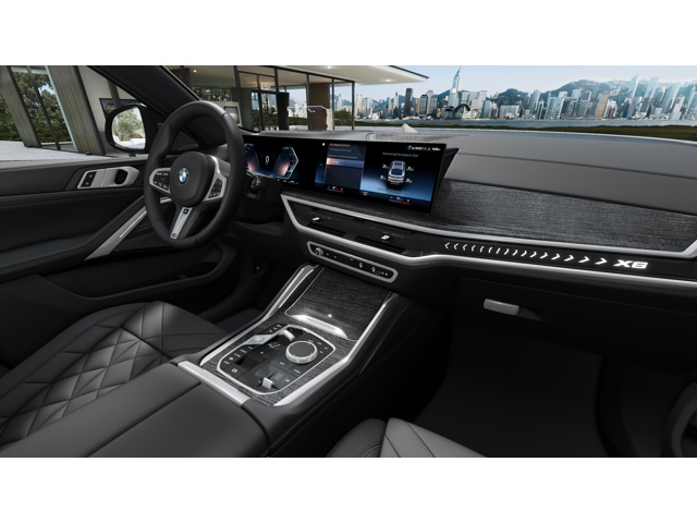 2026 Bmw X6 xDrive40i photo 12