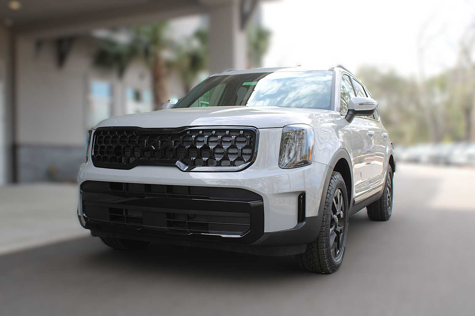 2025 Kia Telluride EX X-Pro photo 2