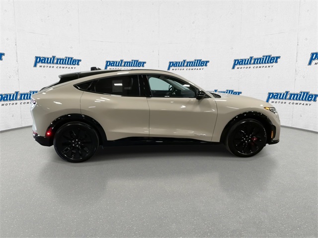 2025 Ford Mustang Mach-E Premium photo 12