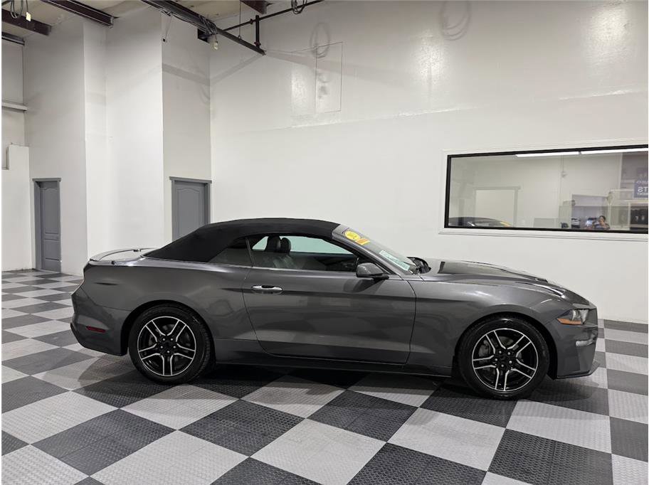 2023 Ford Mustang EcoBoost Premium Convertible photo 4