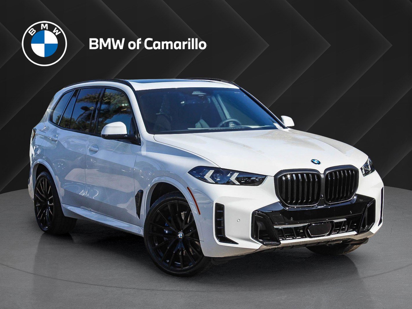 2026 BMW X5 40i's photo