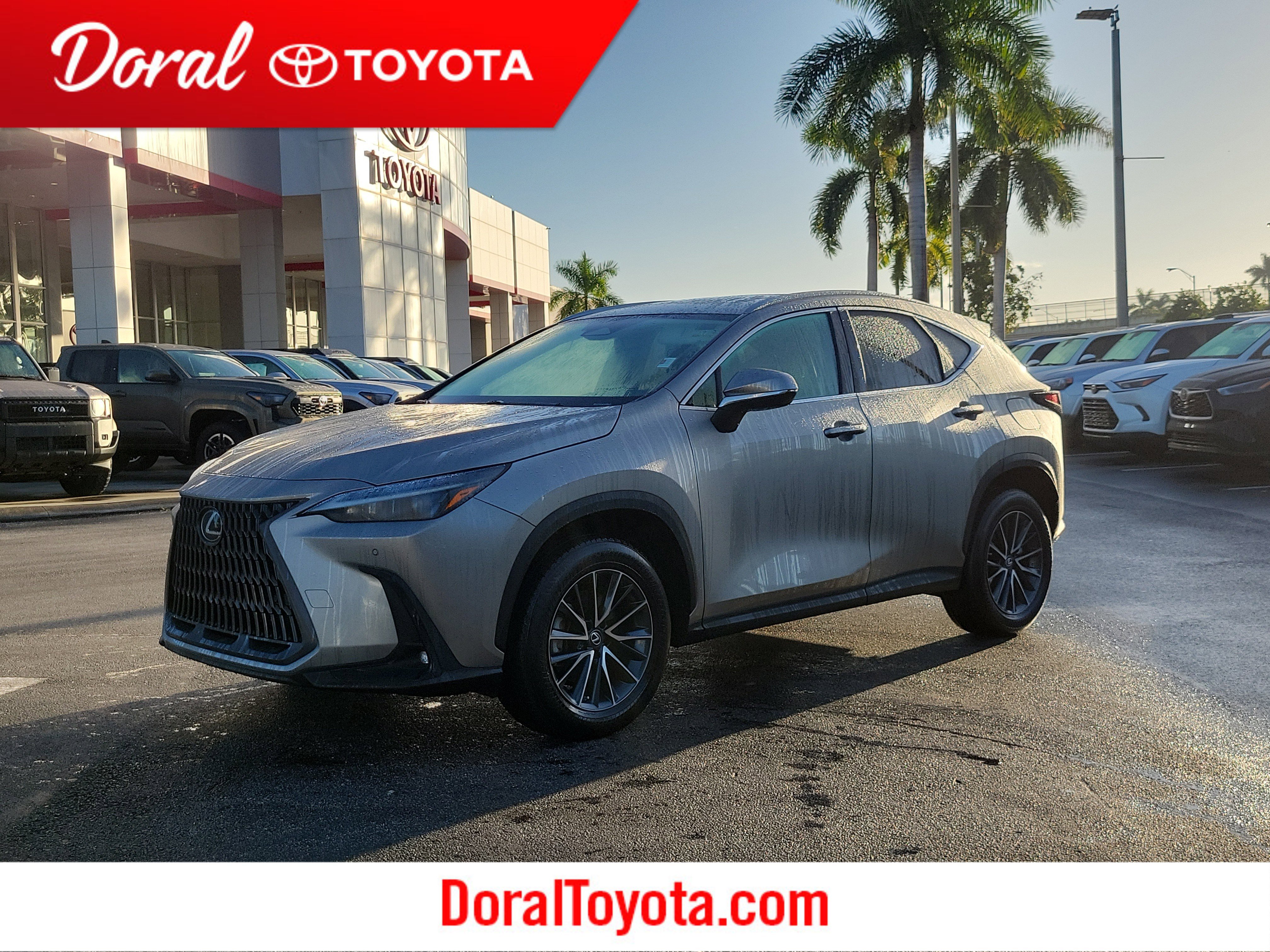 2023 Lexus NX 250's photo