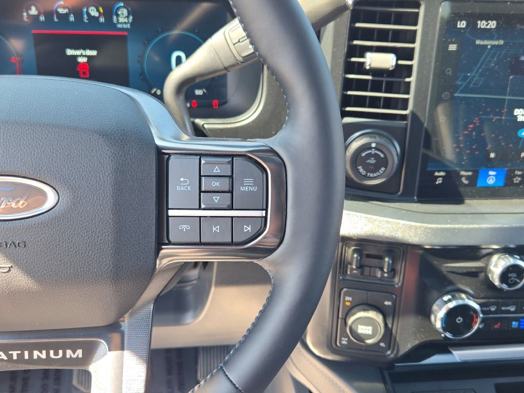 2025 Ford F-250 Platinum photo 33