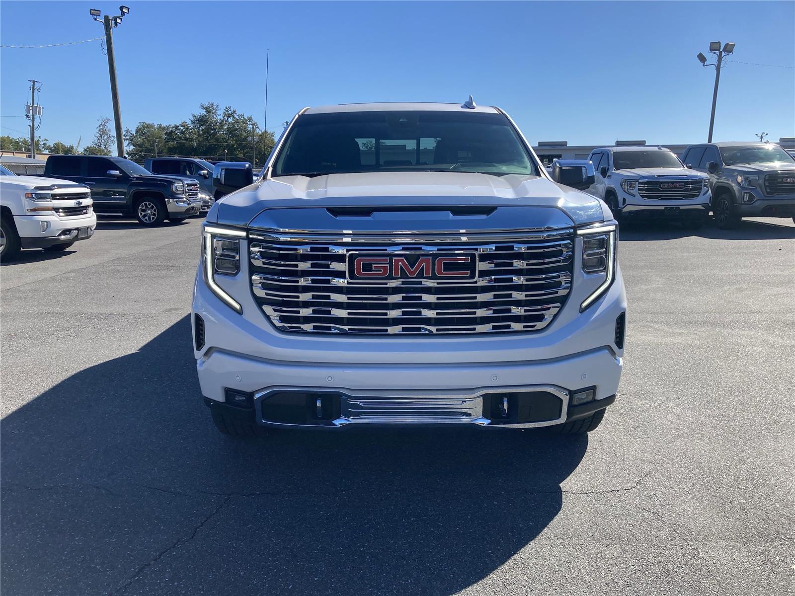2024 Gmc Sierra 1500 Denali photo 2