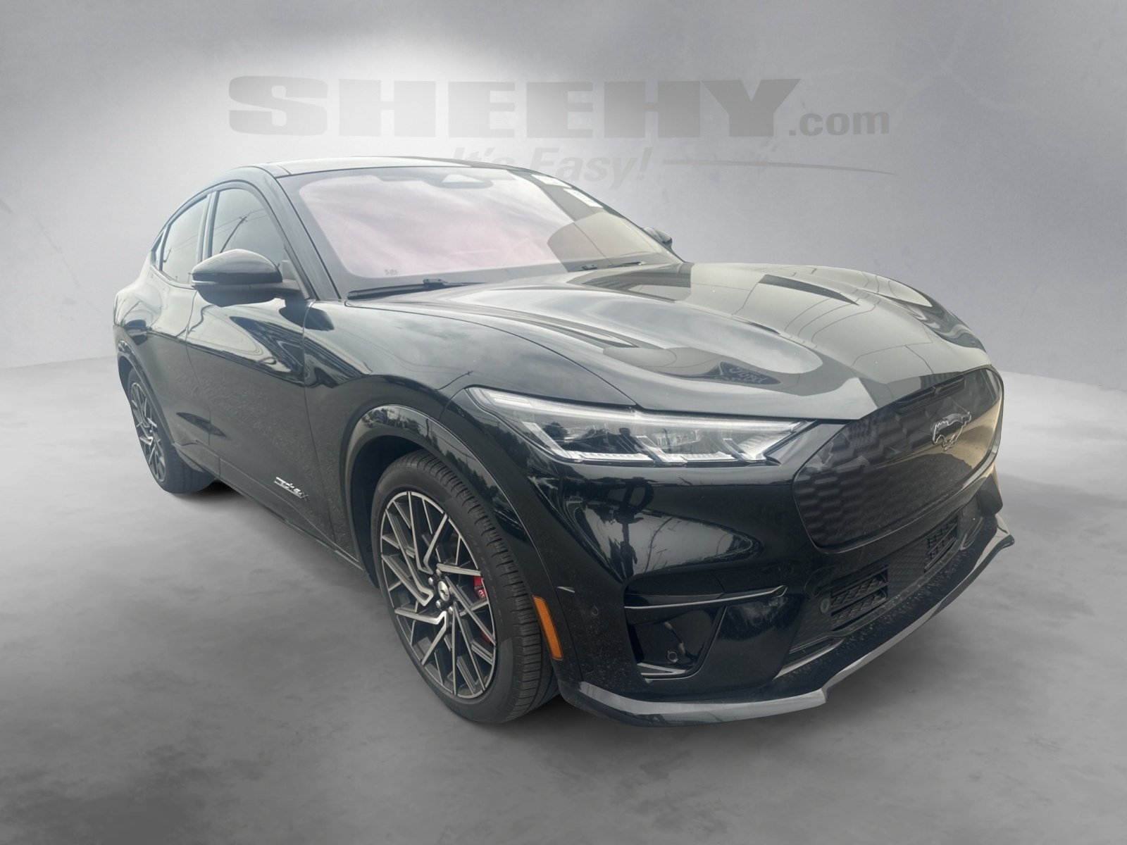2022 Ford Mustang Mach-E GT photo 2