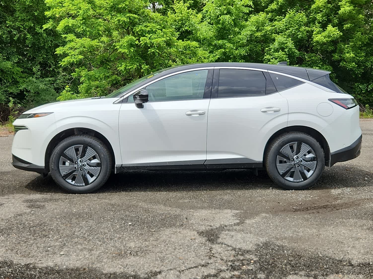 2025 Nissan Murano SL photo 5