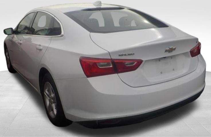 2023 Chevrolet Malibu 1LT photo 3