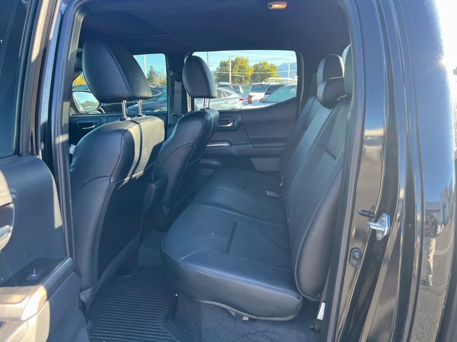 2023 Toyota Tacoma Limited photo 3