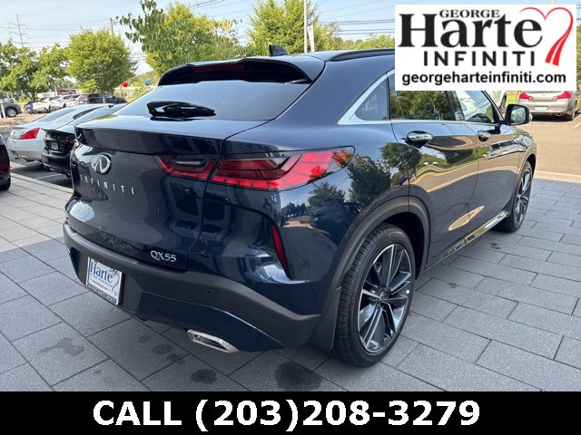 2025 Infiniti QX55 Luxe photo 5