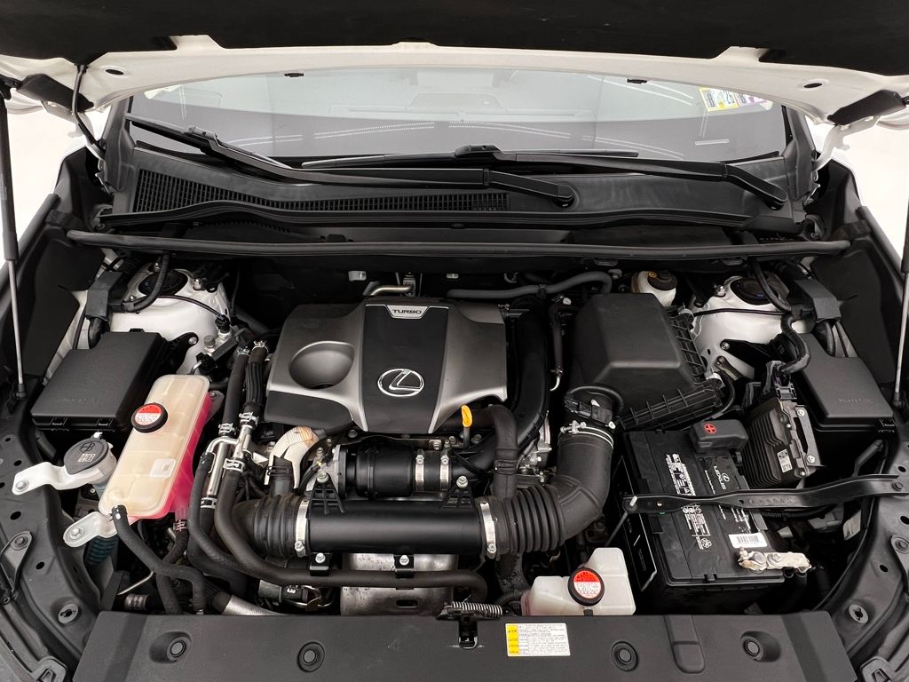 2016 Lexus NX 200t Luxury photo 29