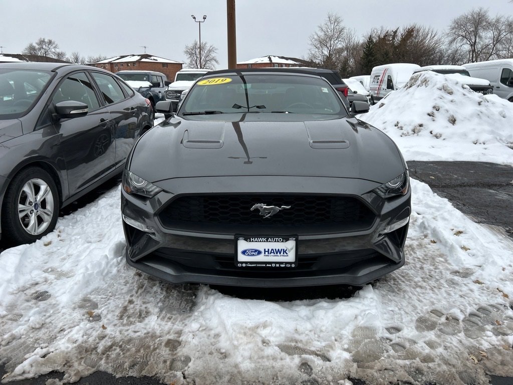 2019 FORD MUSTANG - Image 2