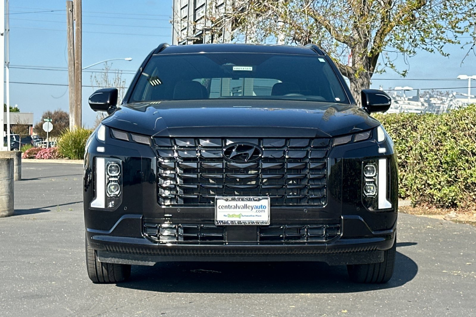 2025 Hyundai Palisade Calligraphy photo 4