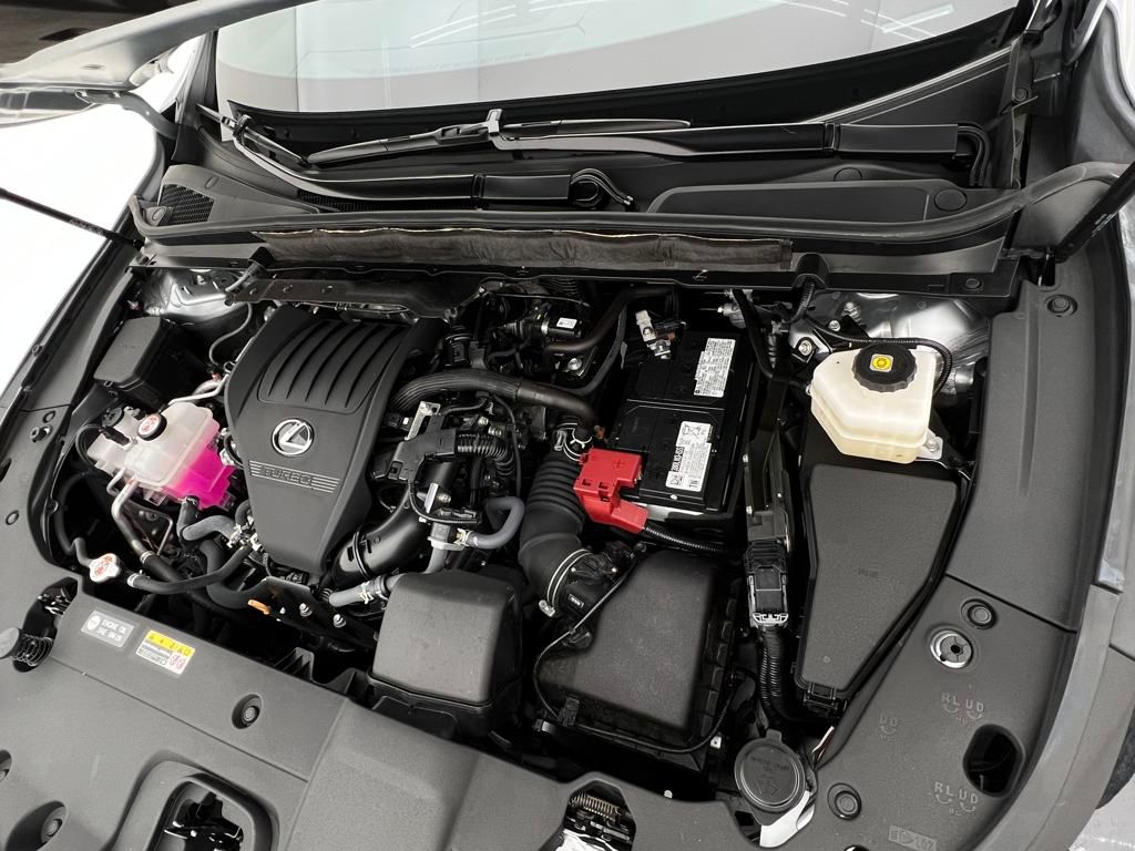 2024 Lexus RX 350 Premium photo 31
