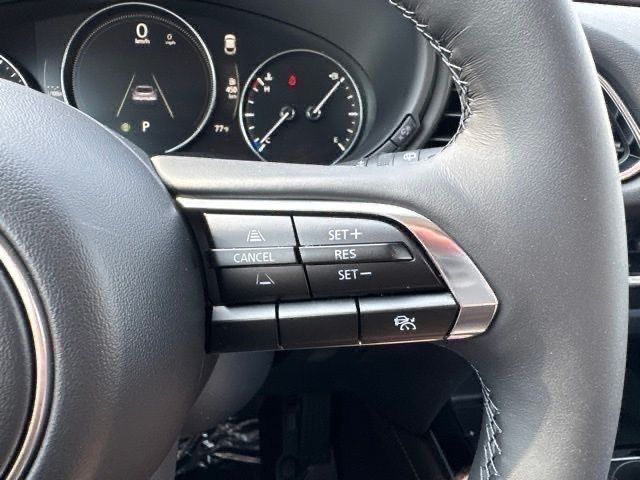 2025 Mazda CX-30 2.5 Turbo Premium photo 15