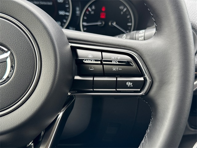 2025 Mazda CX-90 3.3 Turbo Preferred photo 29