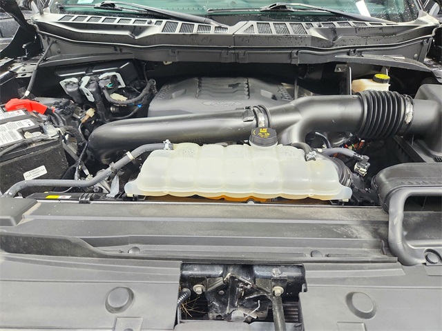 2023 Ford F-150 Platinum photo 17