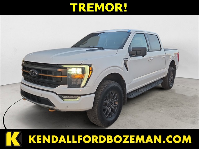 2023 Ford F-150 Tremor's photo