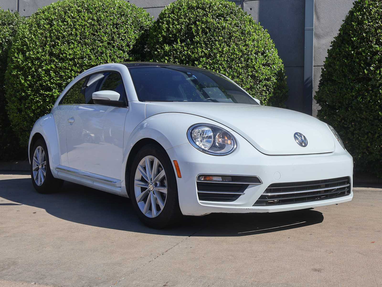 2019 Volkswagen Beetle SE photo 3