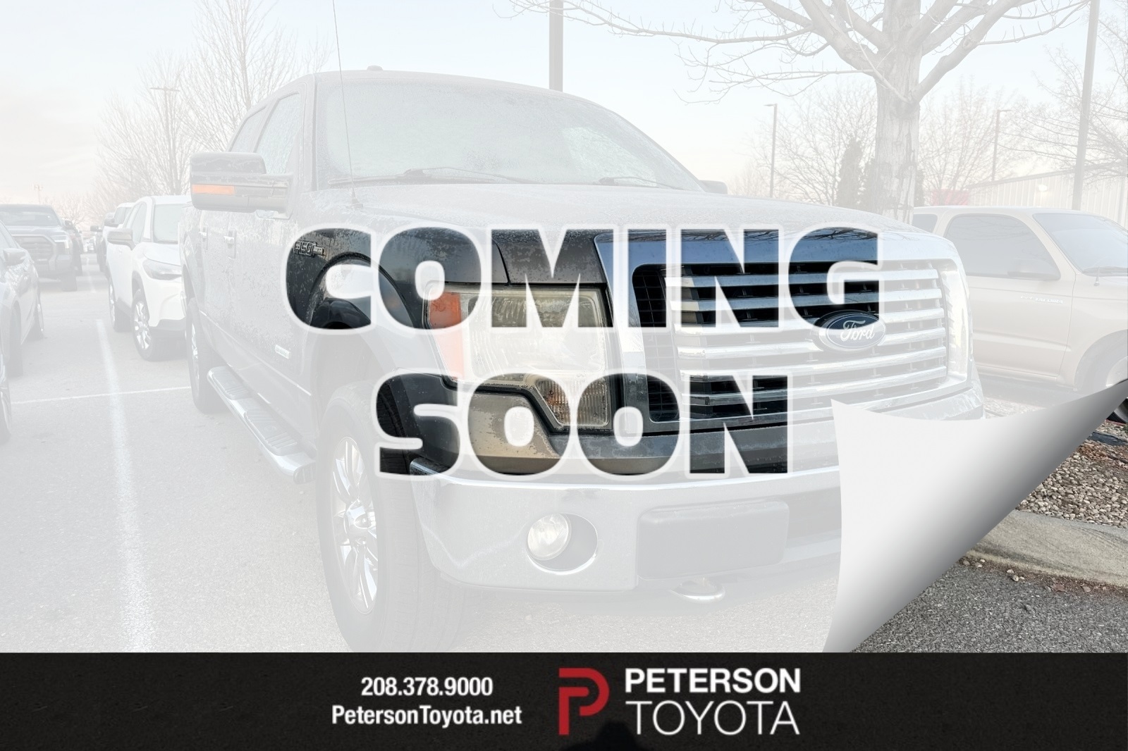 2011 Ford F-150 XLT's photo