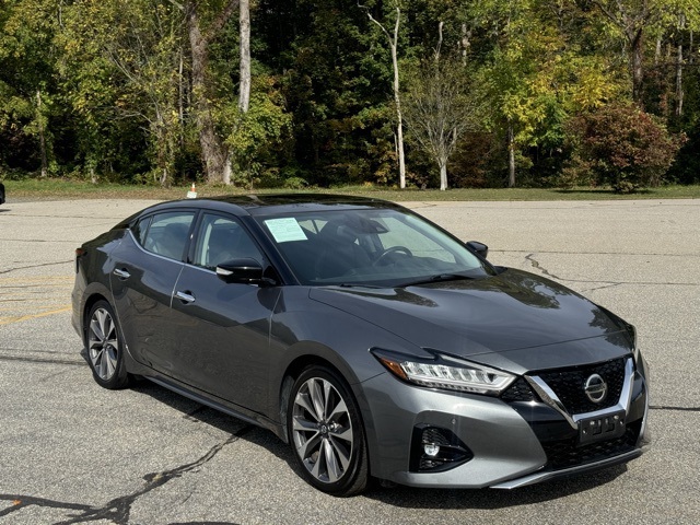 2019 Nissan Maxima Platinum photo 3