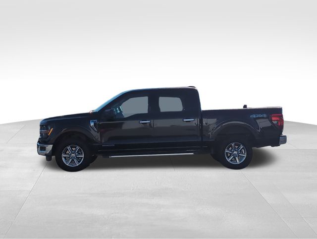 2024 Ford F-150 XLT photo 2