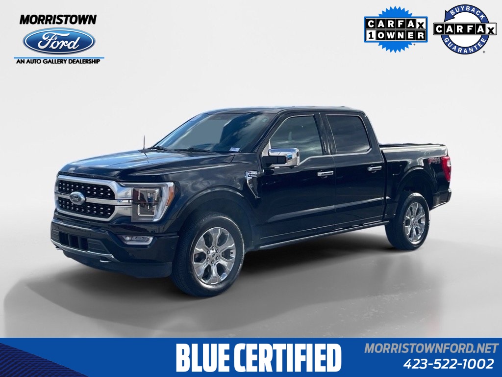 2023 Ford F-150 Platinum's photo