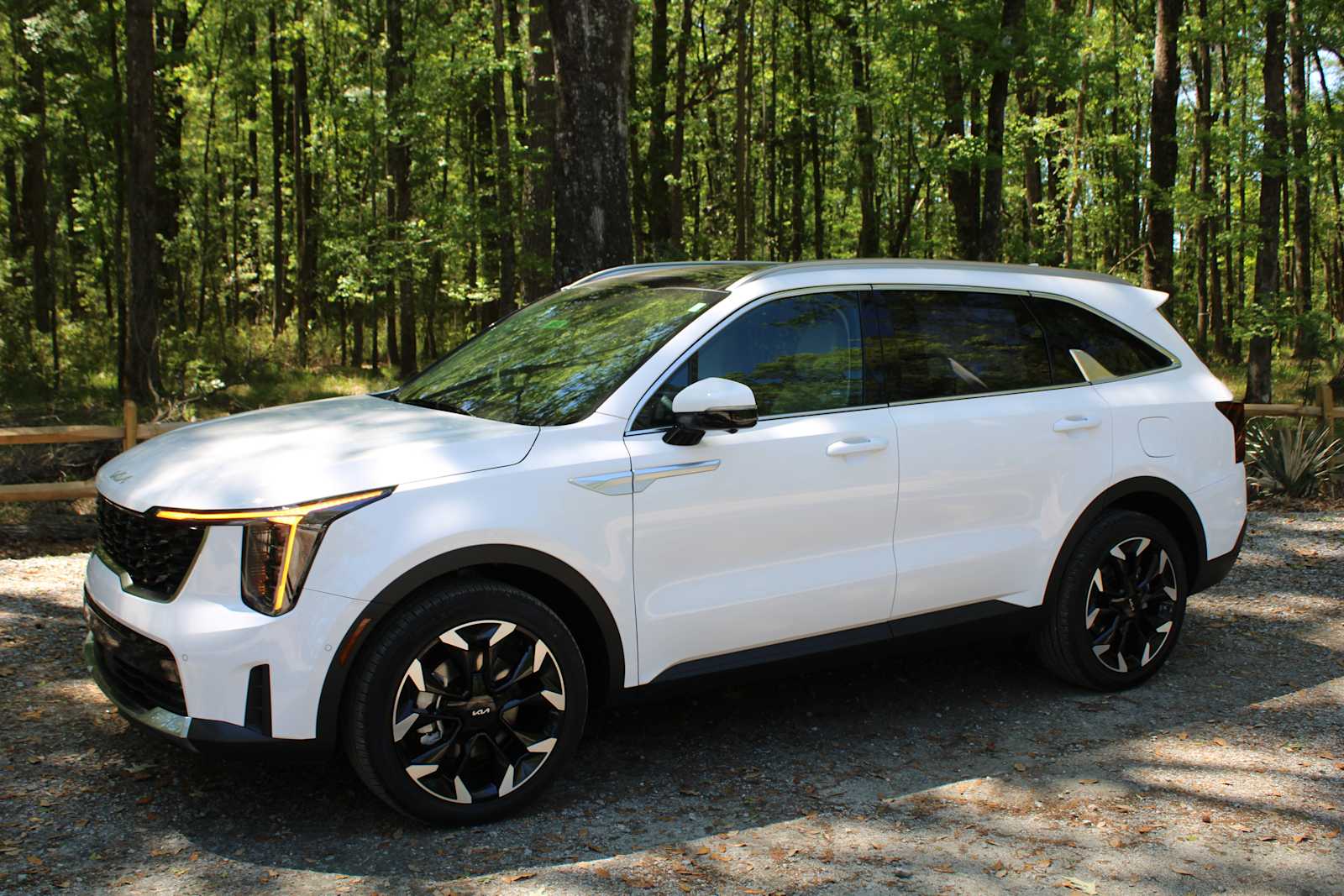 2025 Kia Sorento SX photo 3