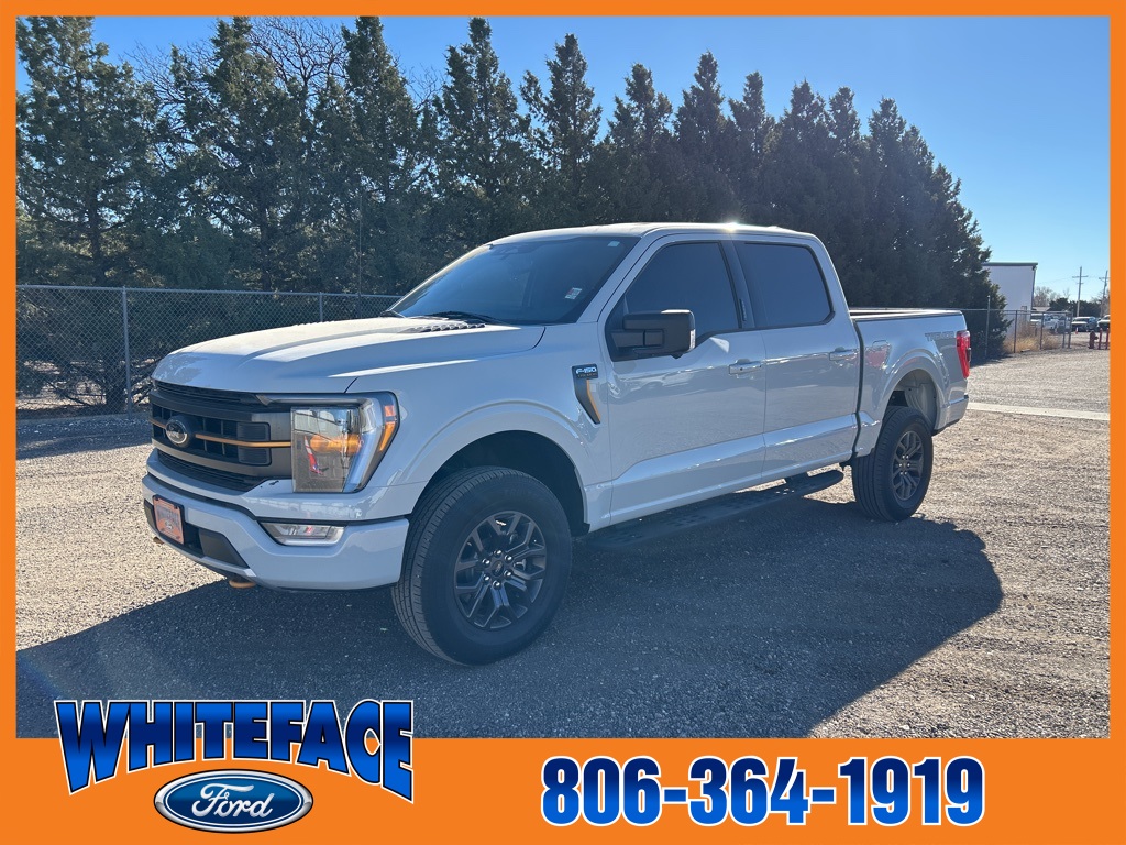 2023 Ford F-150 Tremor's photo