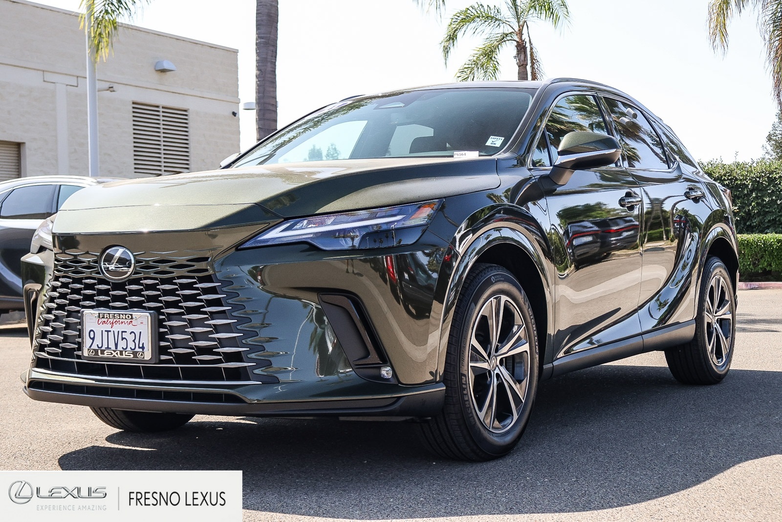 2023 Lexus RX 350 photo 2
