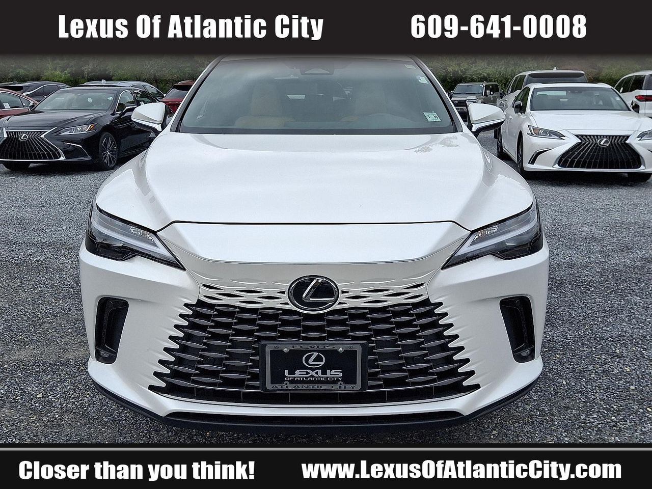 2025 Lexus RX 350 photo 2