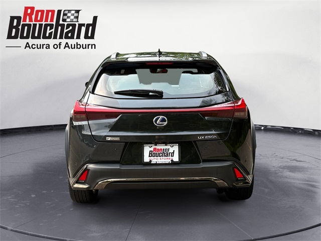 2021 Lexus UX 250h F SPORT photo 3