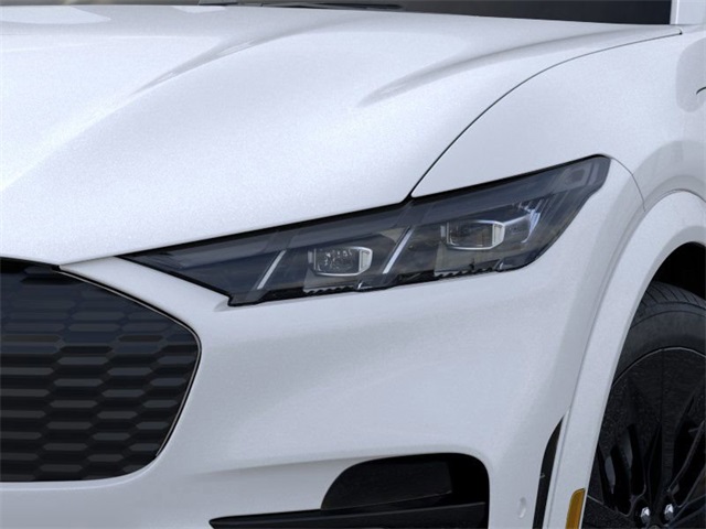 2025 Ford Mustang Mach-E GT photo 13