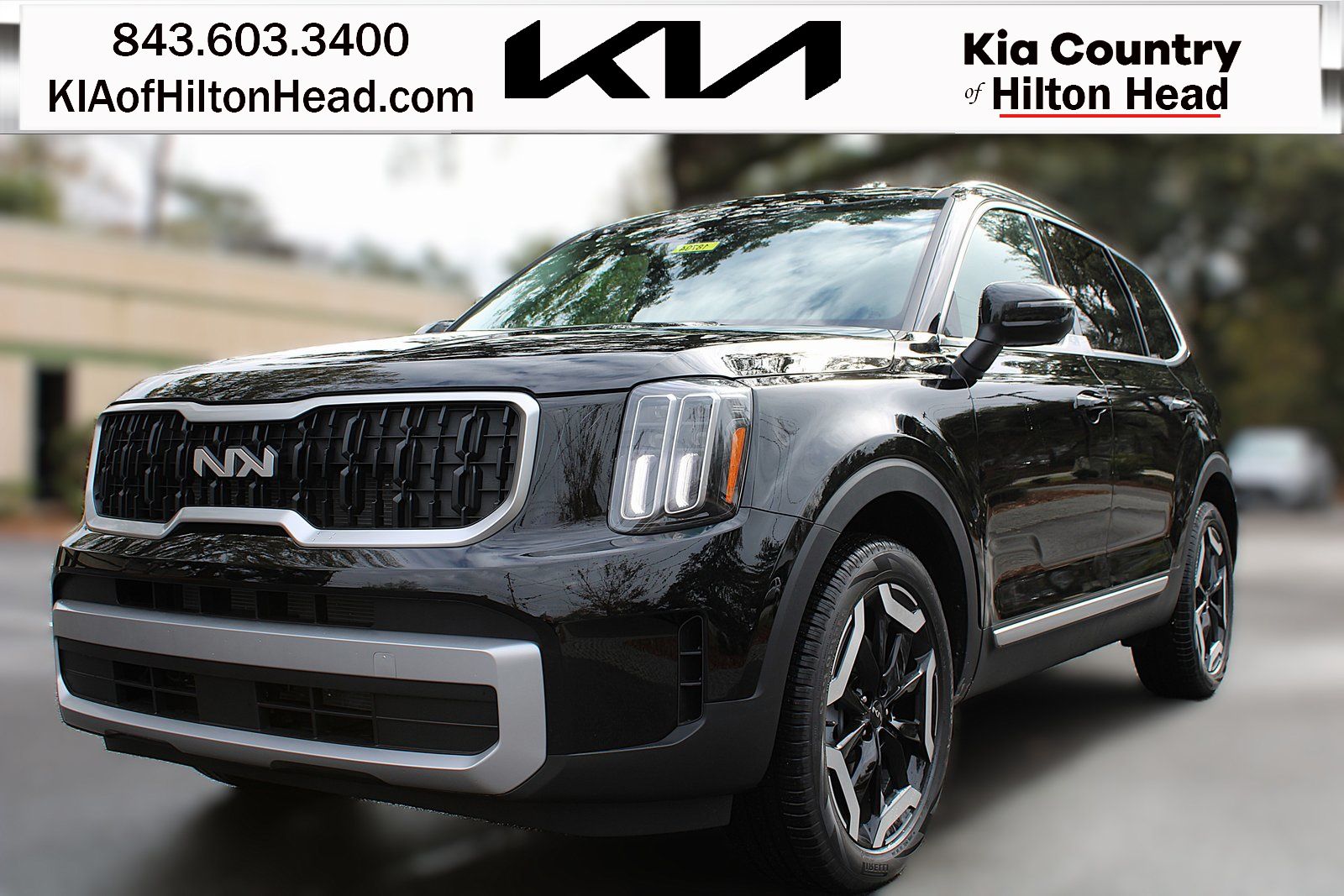 2025 Kia Telluride EX's photo