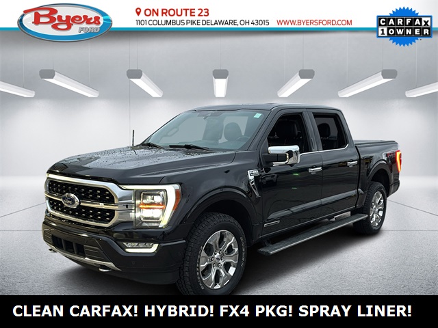 2021 Ford F-150 Platinum's photo