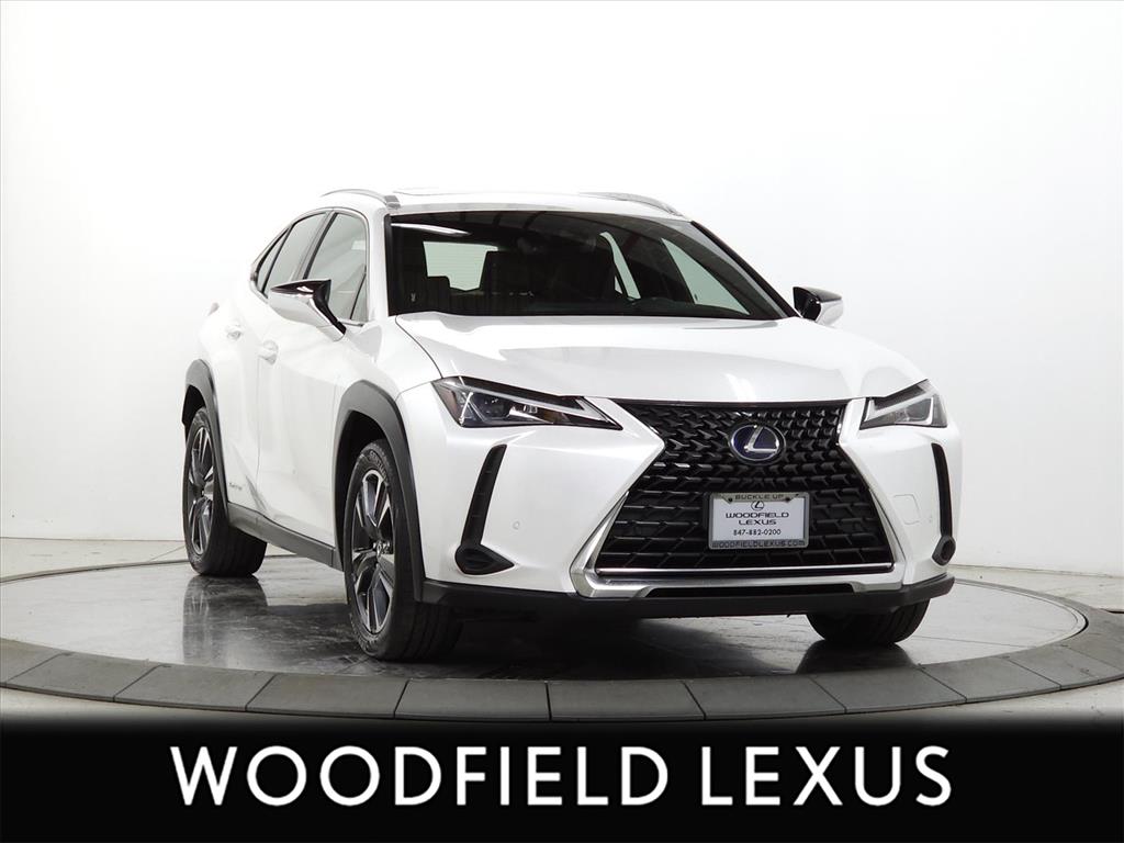 2019 Lexus UX Hybrid 250h's photo