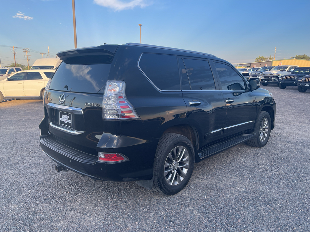 2019 Lexus GX 460 Luxury photo 5