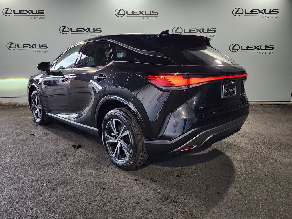 2025 Lexus RX 350 photo 6