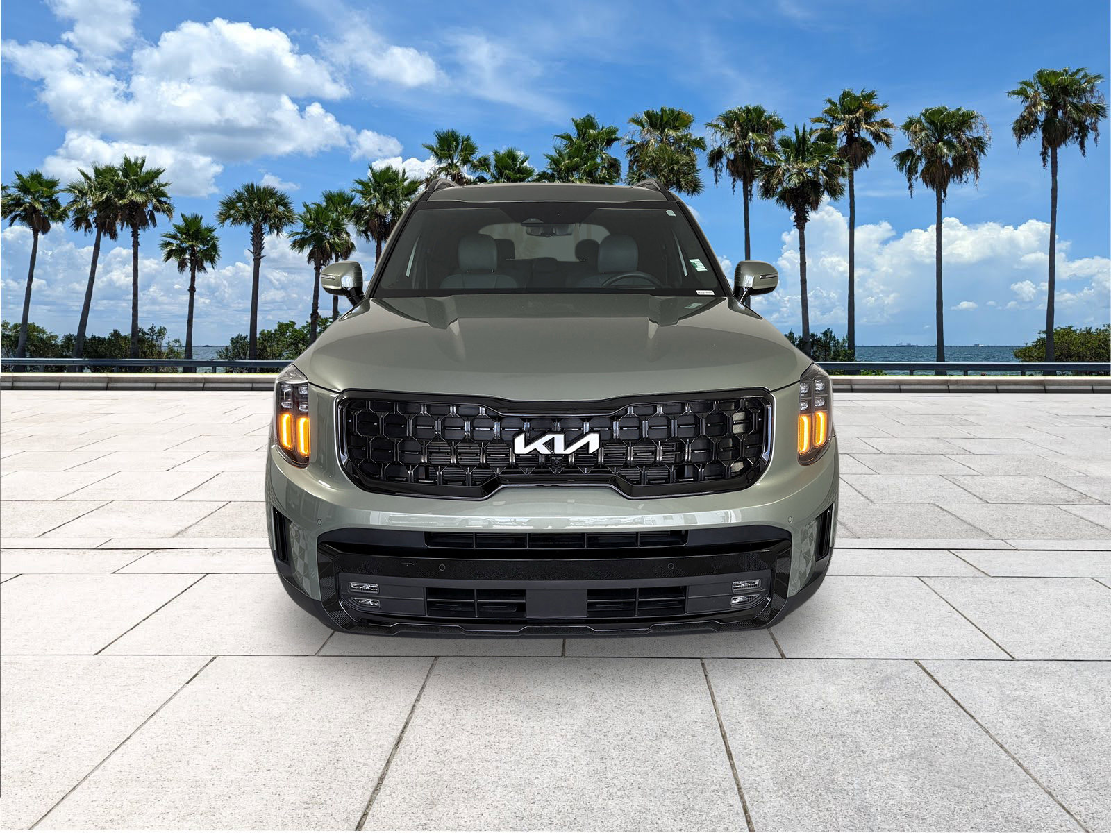 2024 Kia Telluride SX Prestige X-Line photo 3