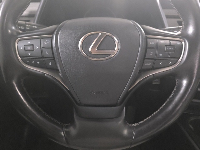 2022 Lexus UX 250h photo 9