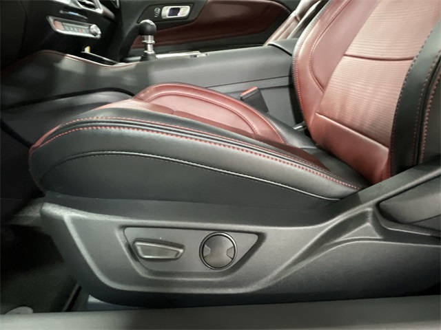 2025 Ford Mustang GT Premium photo 18